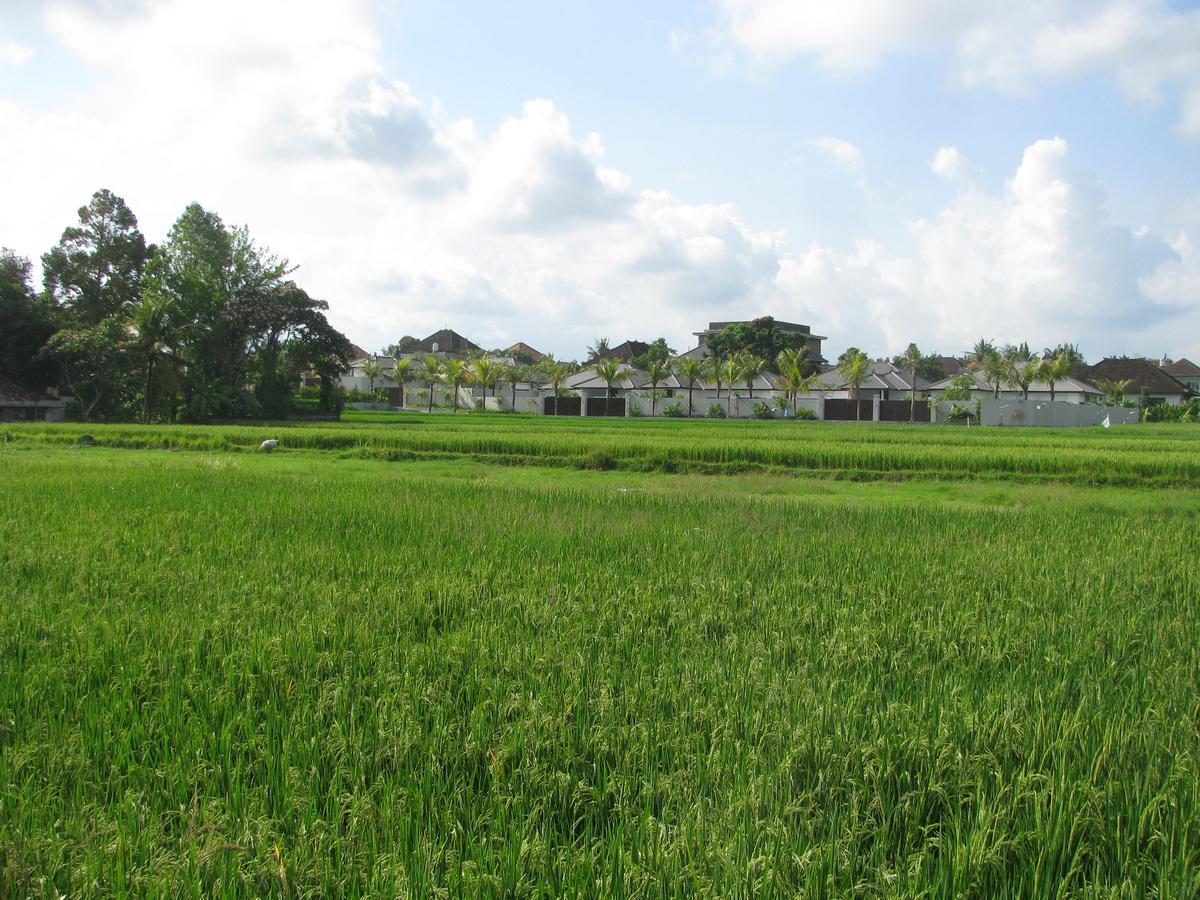 Pondok Mesari House Ubud  Luaran gambar