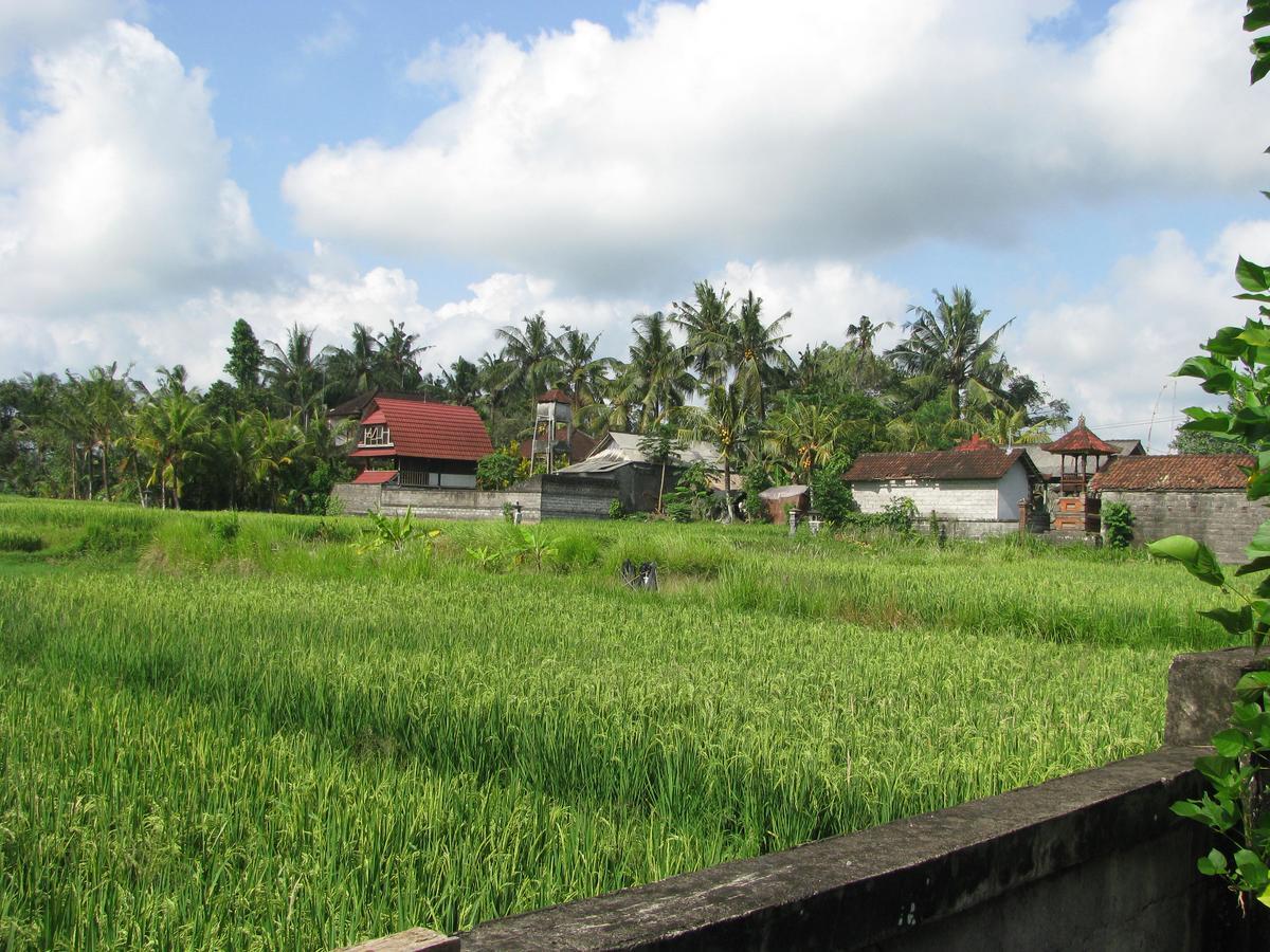 Pondok Mesari House Ubud  Luaran gambar
